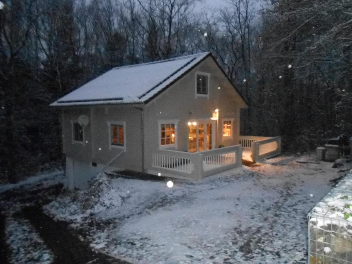 Alppimaja Chalet Vesin